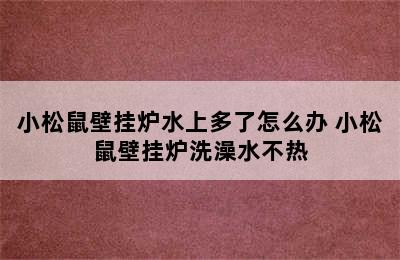 小松鼠壁挂炉水上多了怎么办 小松鼠壁挂炉洗澡水不热